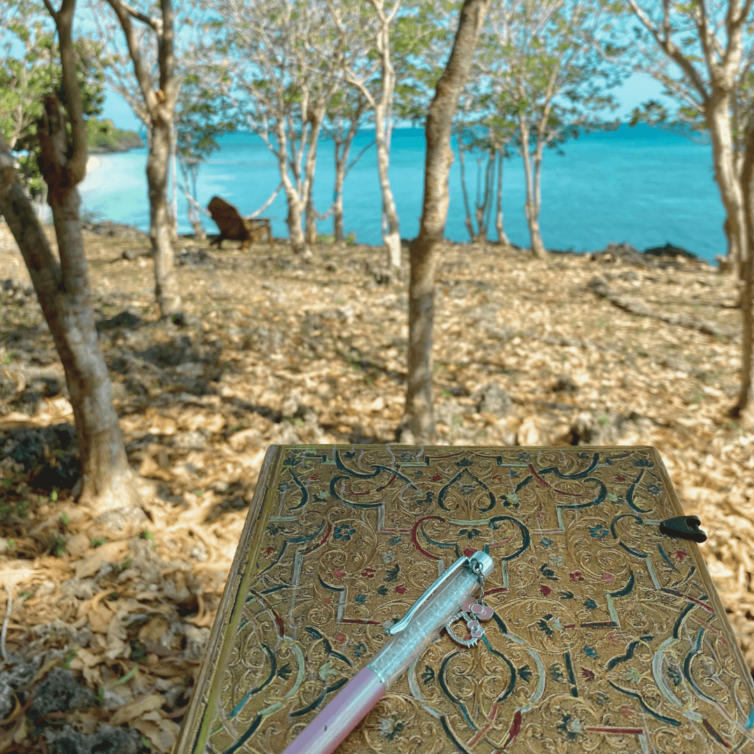 A picture of a beautiful journal with a swarovski pink pen with a background of nature and the ocean